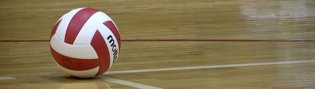 volleyball banner